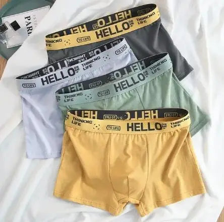 Erkek Boxer Şort (4'lü Paket)