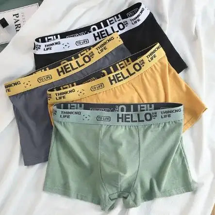 Erkek Boxer Şort (4'lü Paket)